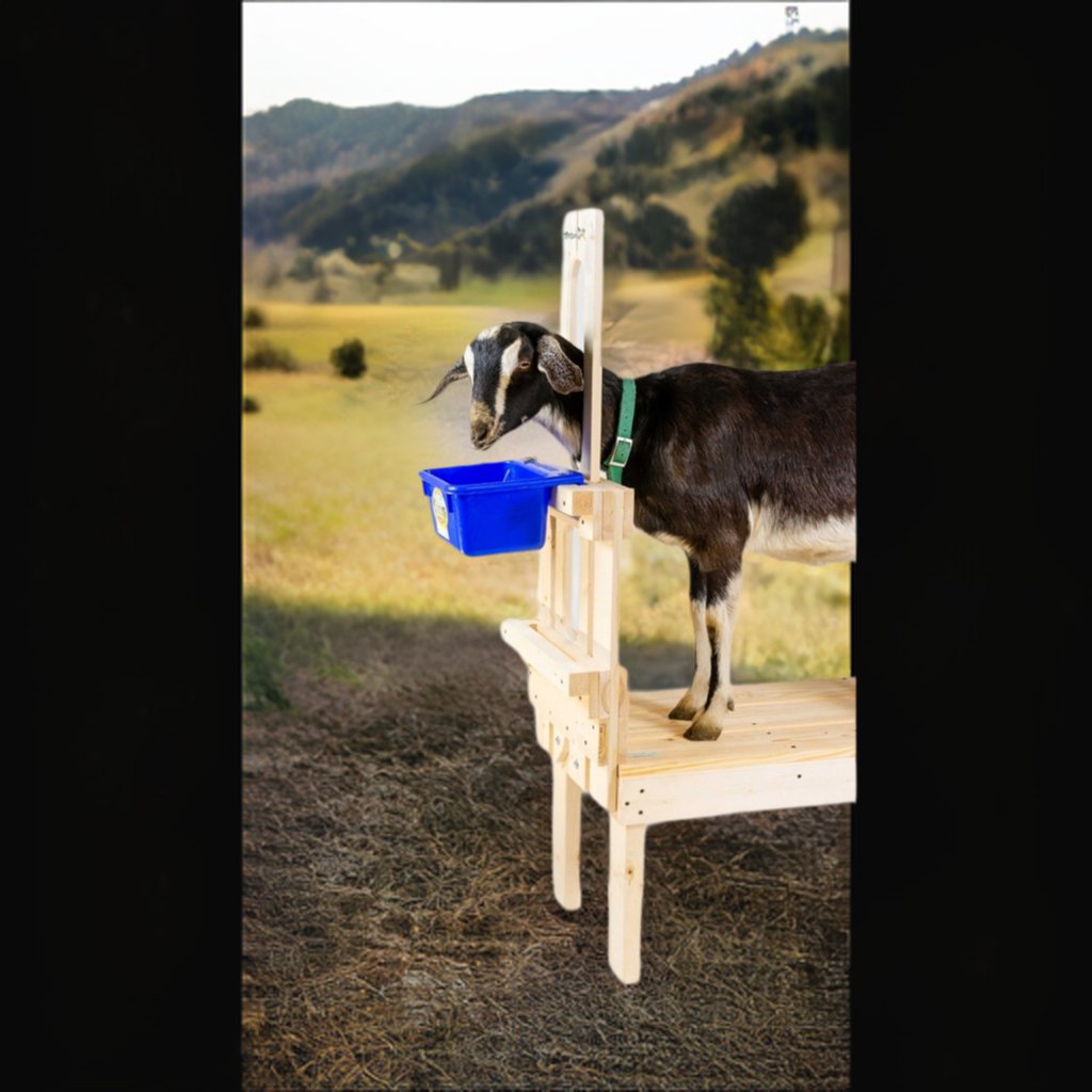 Universal Goat Milking Stand Ideal for Milking and Trimming All Breeds